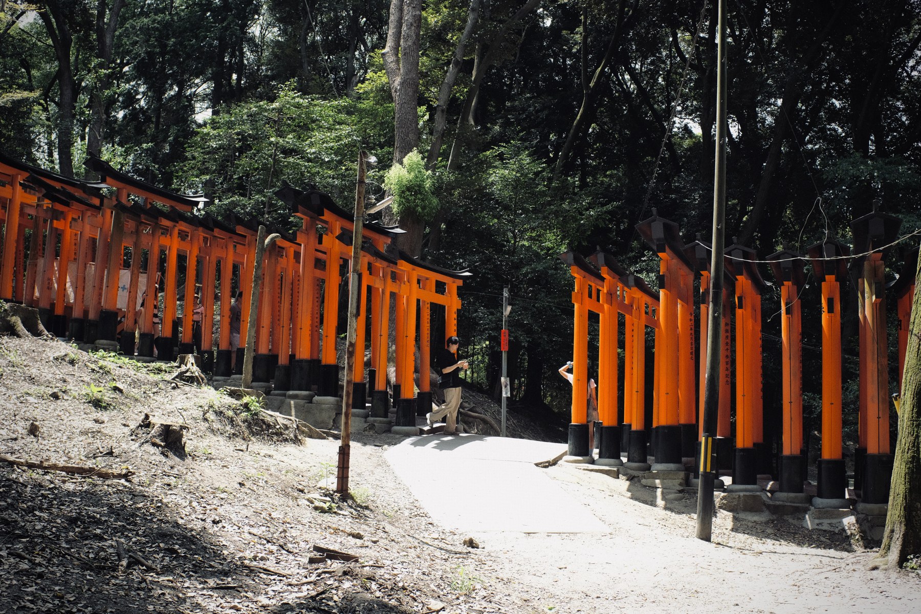 京都 · 朱红鸟居、树影与人物形成重复的空间节奏。