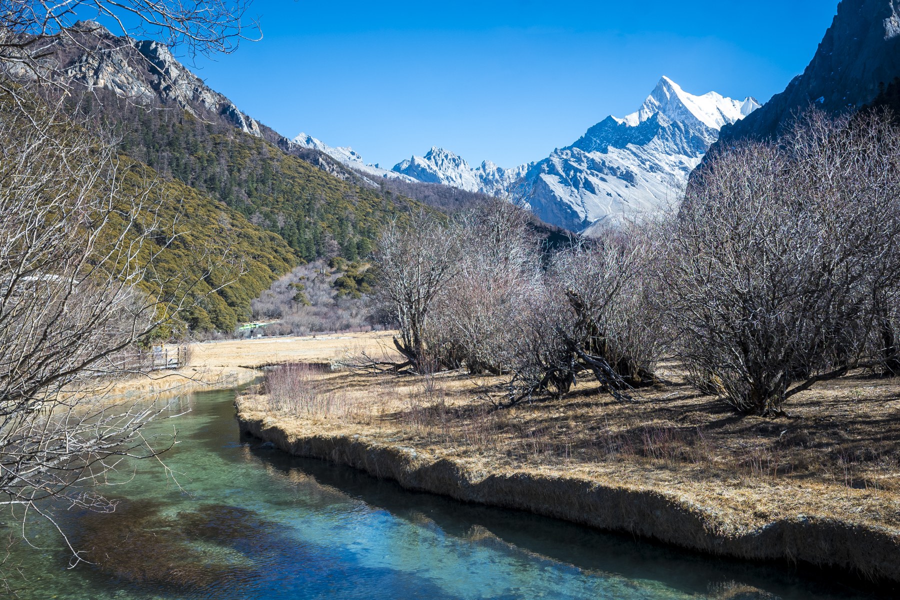 稻城亚丁 · 清澈溪流穿过山谷,将视线引向远处雪峰。