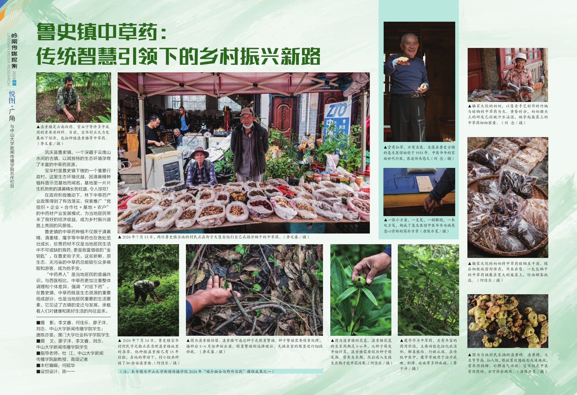 凤庆田野专题｜鲁史镇中草药作品预览